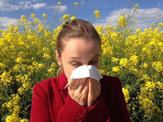 Staubsauger mit Wasserfilter für Allergiker